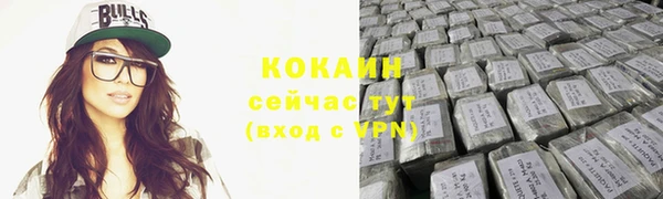 твердый Осинники