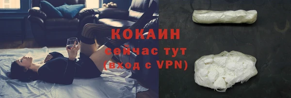 твердый Осинники
