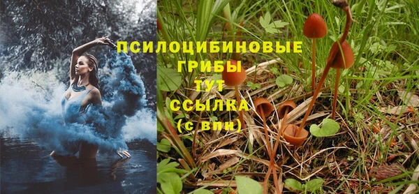 амф Няндома