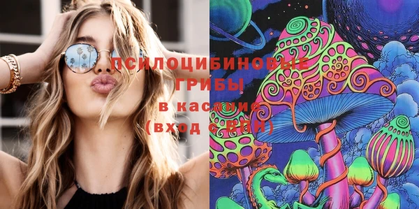 твердый Осинники